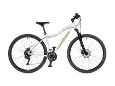 AUTHOR Vertigo ASL 2026