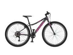 AUTHOR Limit 27,5 2026