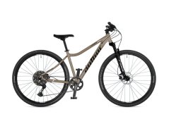 AUTHOR Codex ASL 2026