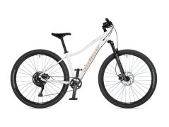 AUTHOR Solution ASL 2026