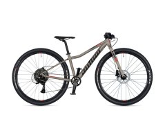 AUTHOR Limit 29 2026