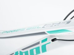 pegasasl27.5 aut4910 viewde